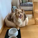 Ferienhaeuser Koralpe Unicorn Village