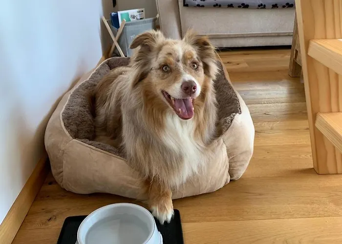 Koralpe Unicorn Village